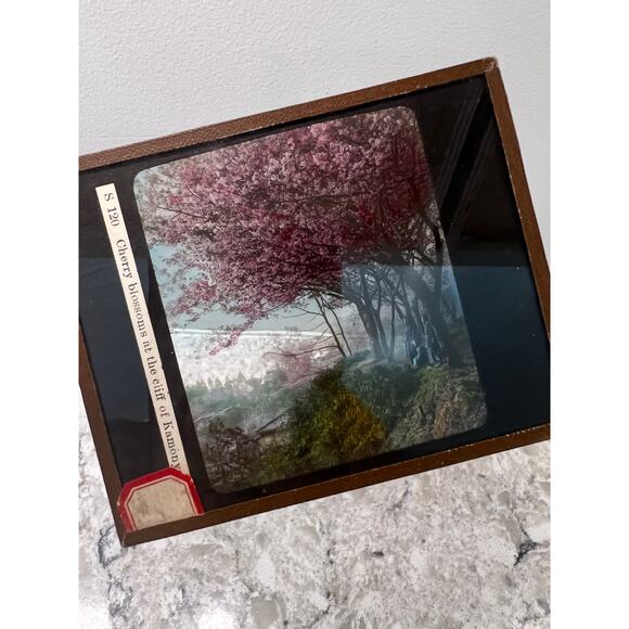 Antique Magic Glass Lantern Slide Cherry Blossoms at the Cliff of Kamony JL - Picture 4 of 4